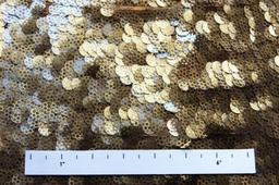 Novelty Paillettes on Silk Chiffon2