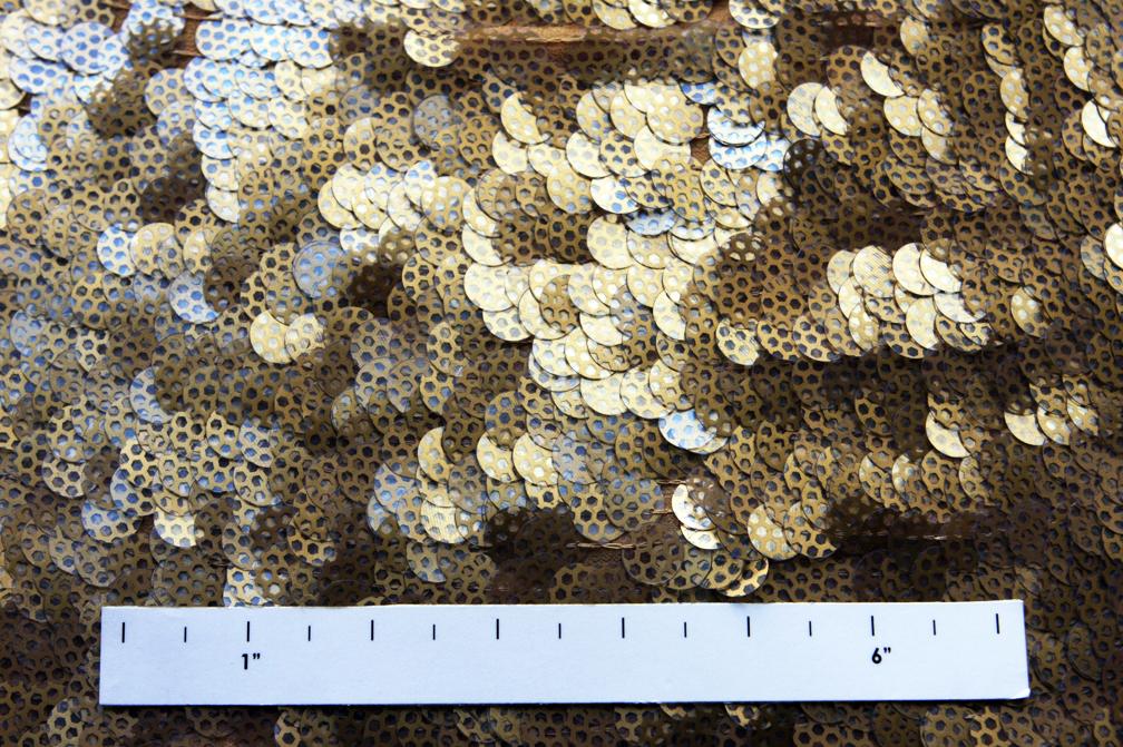 Novelty Paillettes on Silk Chiffon2