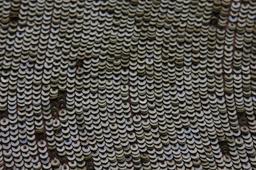 Sequins on Silk Chiffon3