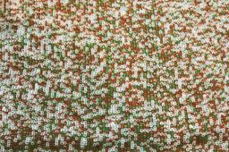 Sequins on Silk Chiffon0