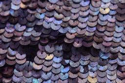 Sequins on Silk Chiffon3