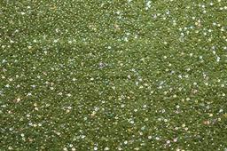 Sequins on Silk Chiffon0