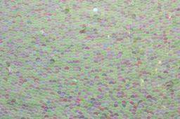 Paillettes on Silk Chiffon0