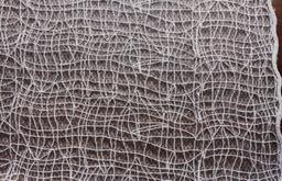 Embroidered Souffle0