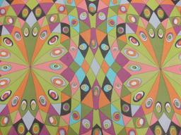 Printed Silk Chiffon1