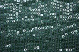 Sequins on Silk Chiffon2