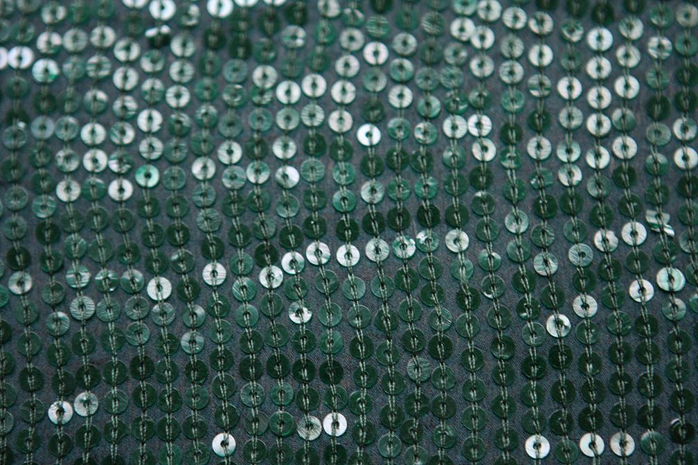 Sequins on Silk Chiffon2