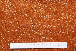 Sequins on Silk Chiffon1