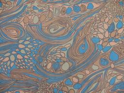 Printed Silk Chiffon1