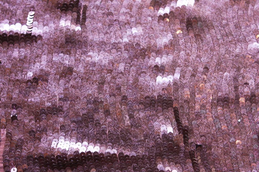Sequins on Silk Chiffon0