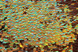 Pailettes on Silk Chiffon0