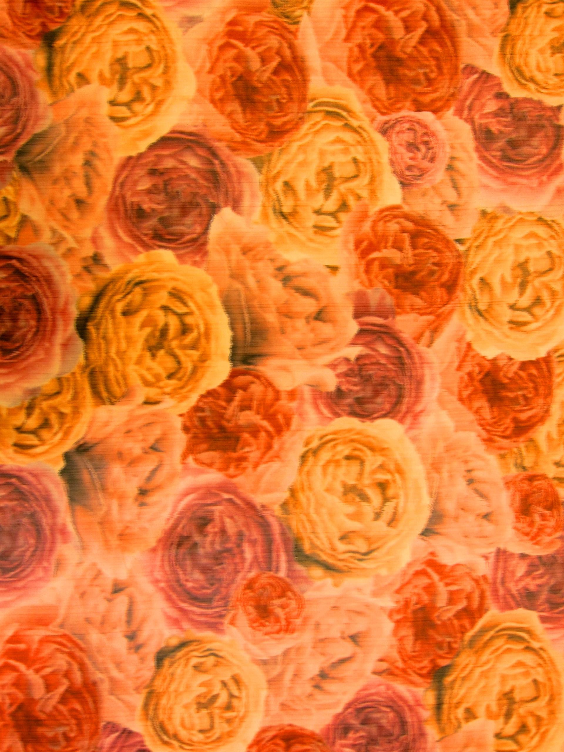  Warp Printed Taffeta0