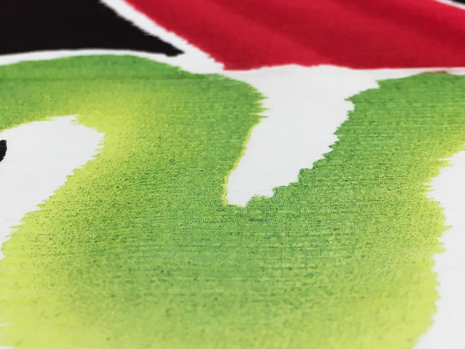 Printed Silk Chiffon2