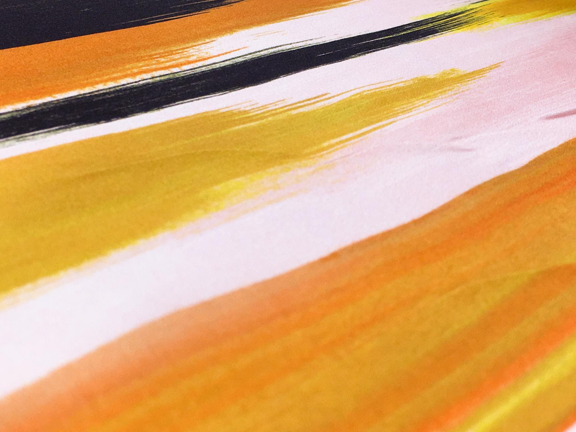 Printed Silk Charmeuse2