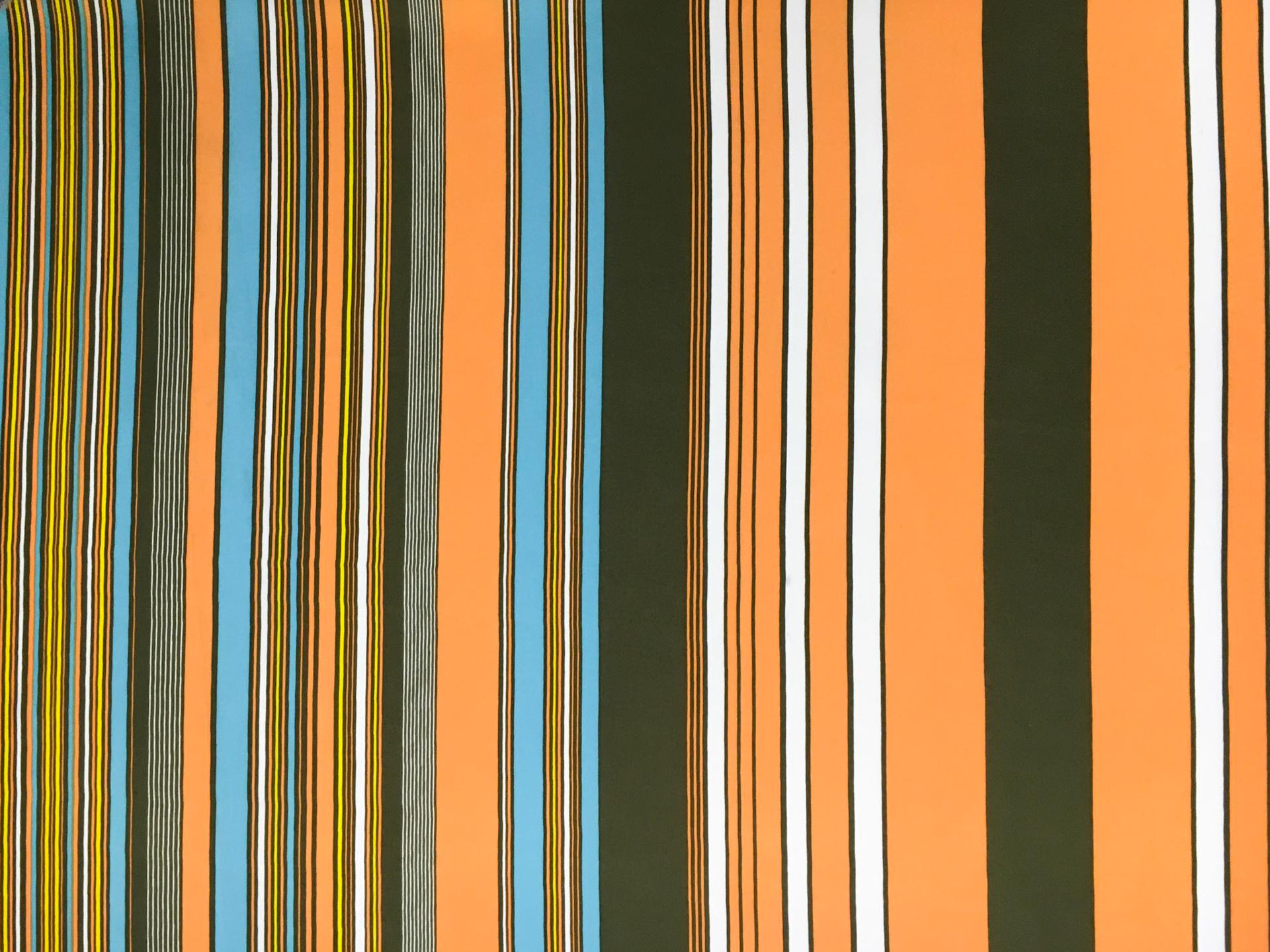 Printed Silk Charmeuse0