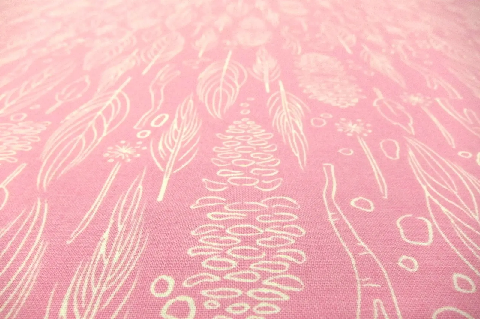 Cotton Broadcloth Print2