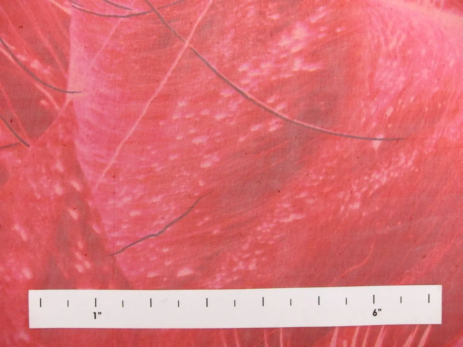 Printed Iridescent Silk Chiffon0