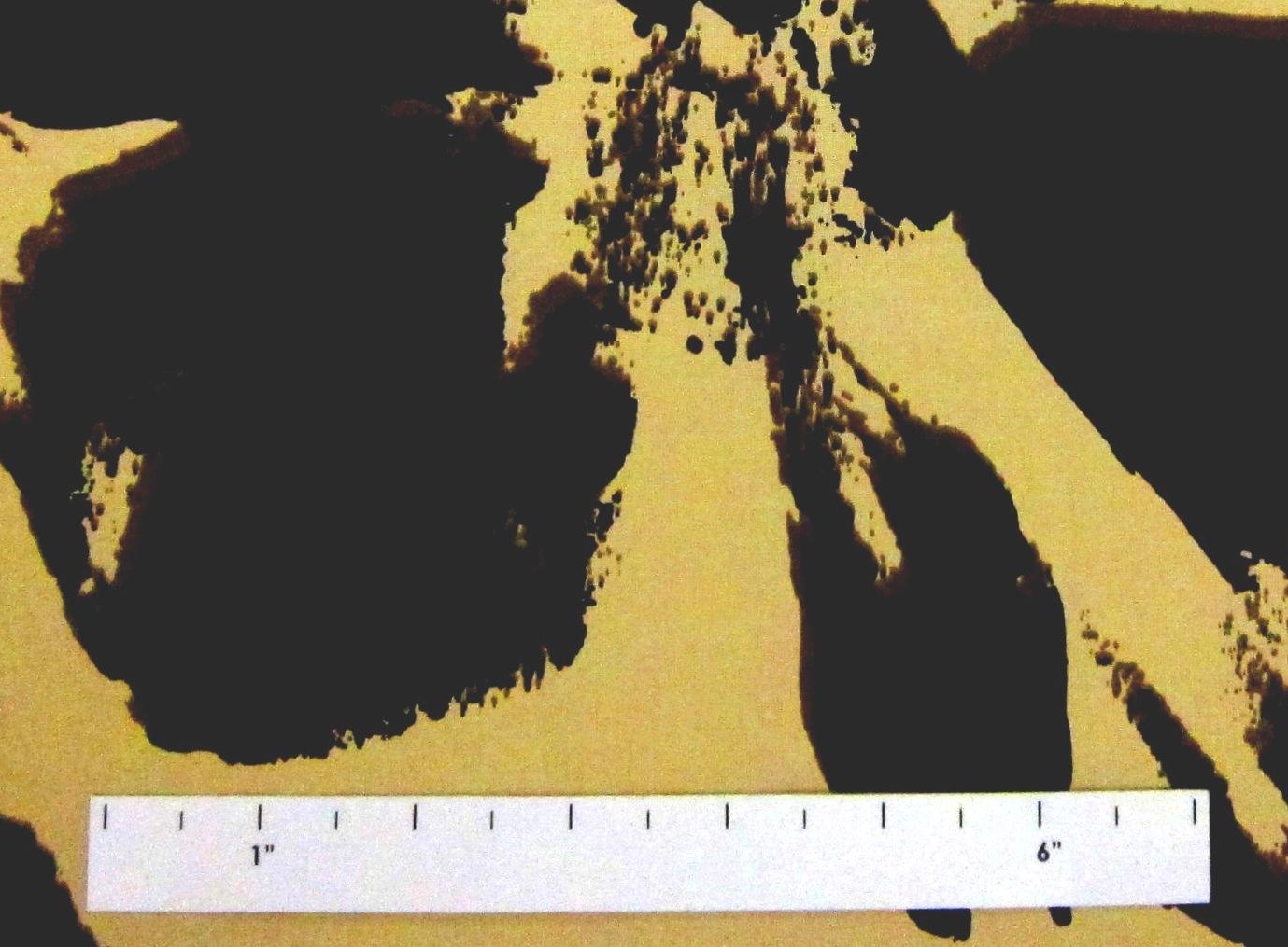 Printed Silk Taffeta1