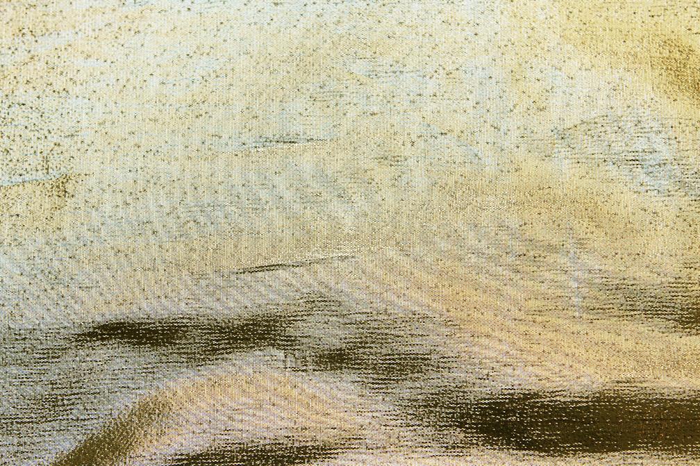 Tissue Lamé in Nugget