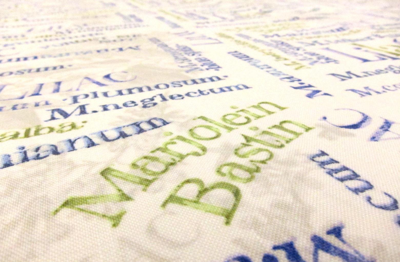 Cotton Broadcloth Print2