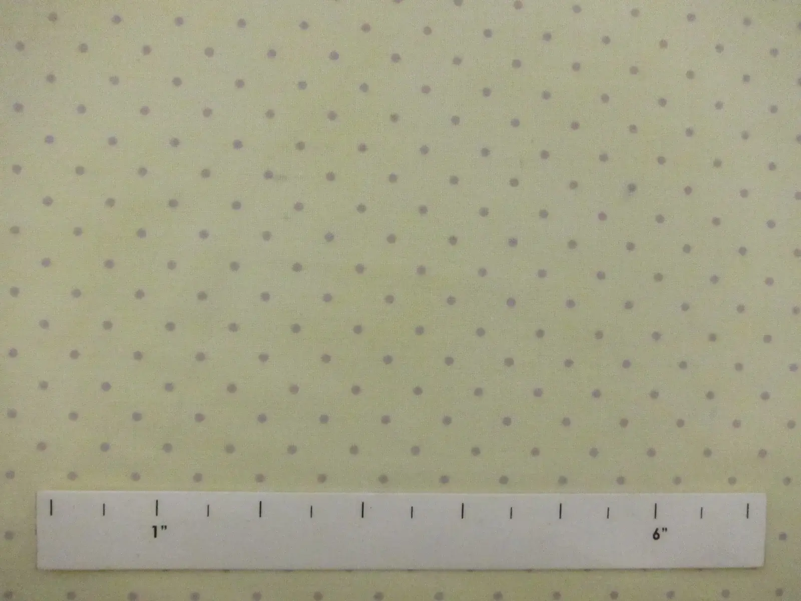 Cotton Broadcloth Print1