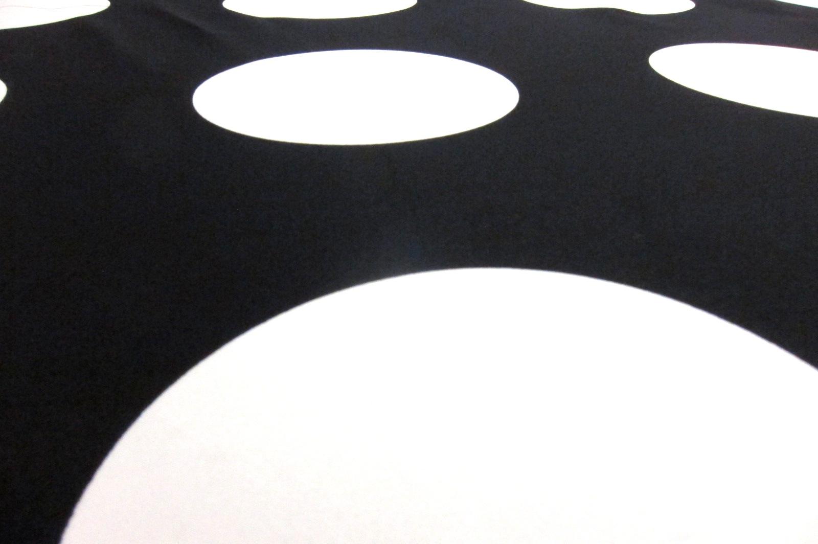 Printed Silk Charmeuse2