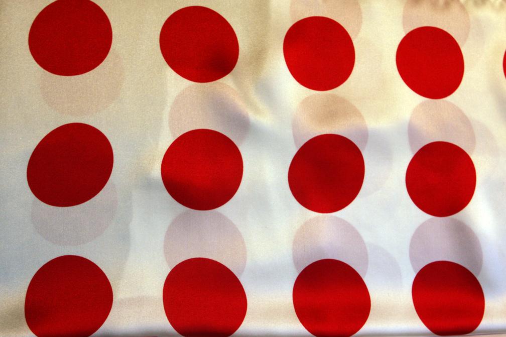 Printed Silk Charmeuse1