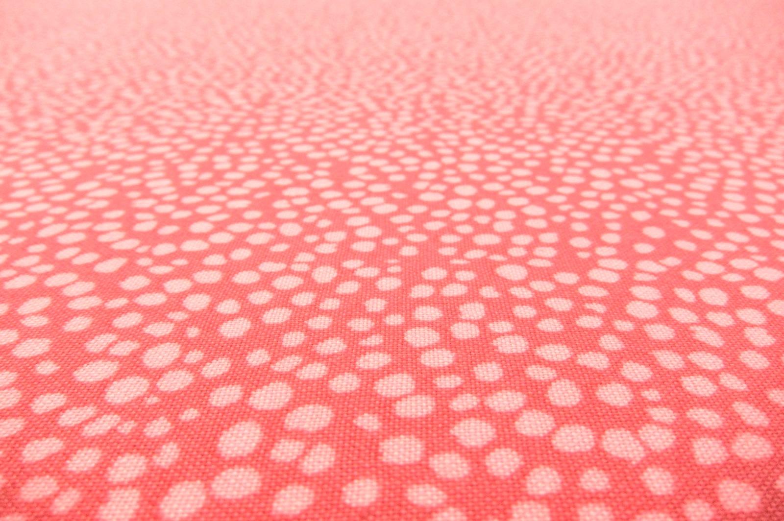 Cotton Broadcloth Print2