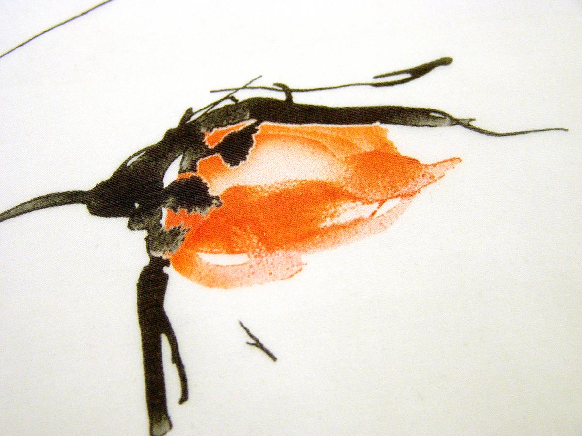 Silk Printed Chiffon1