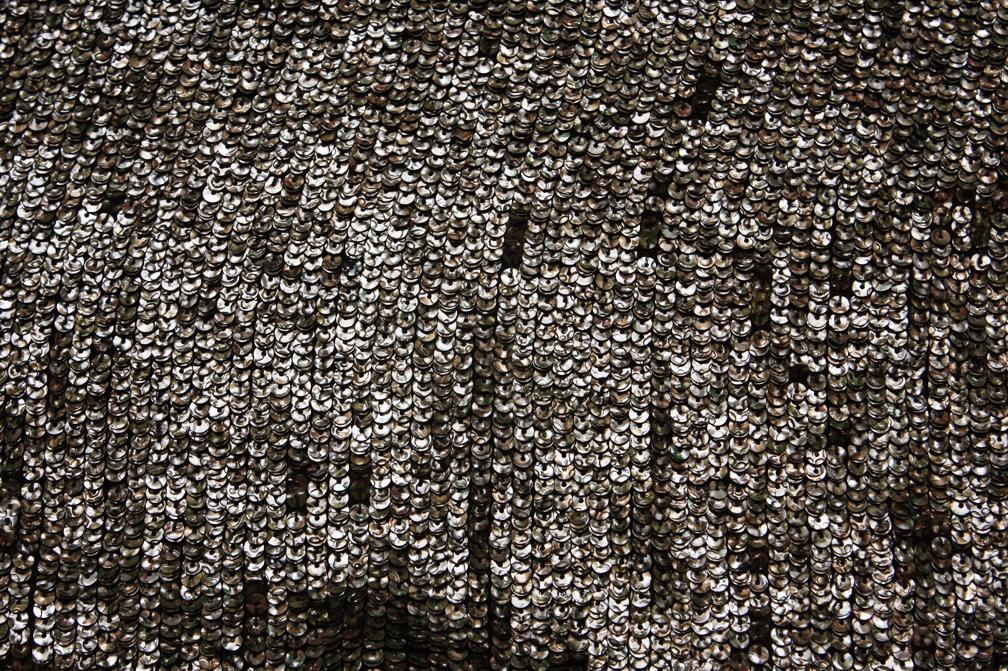 Sequins on Silk Chiffon0