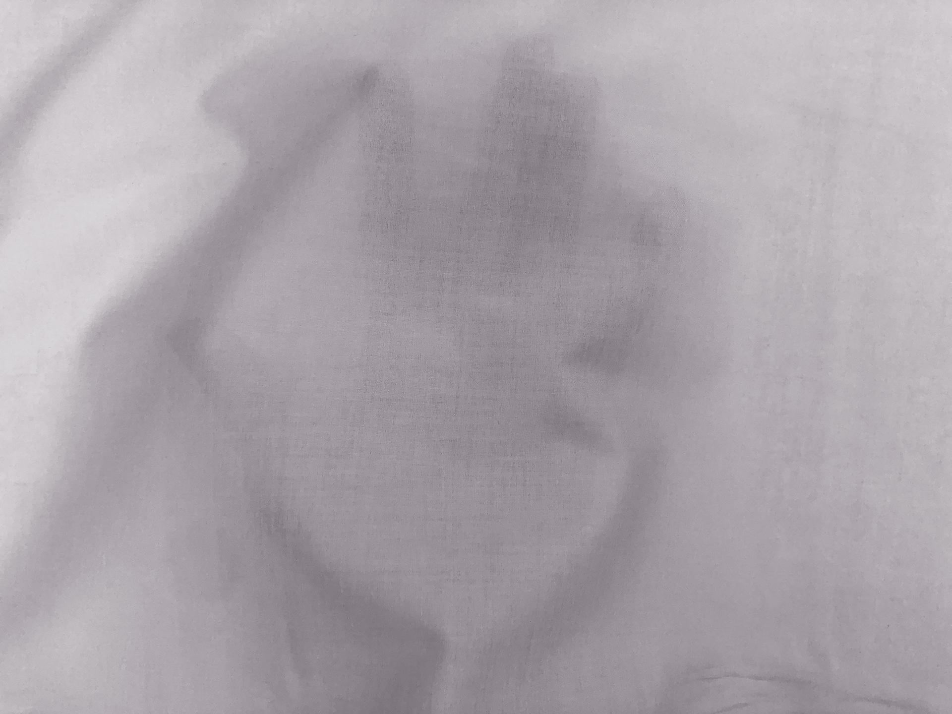 Cotton Lawn in Silver2