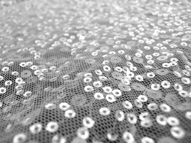 Transparent Sequins on White Tulle 0