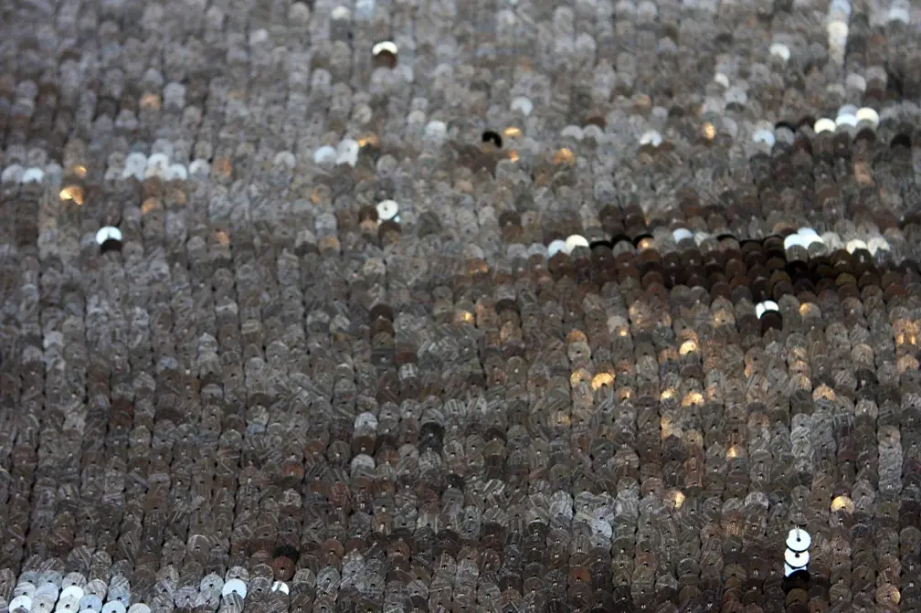 Sequins on Silk Chiffon0