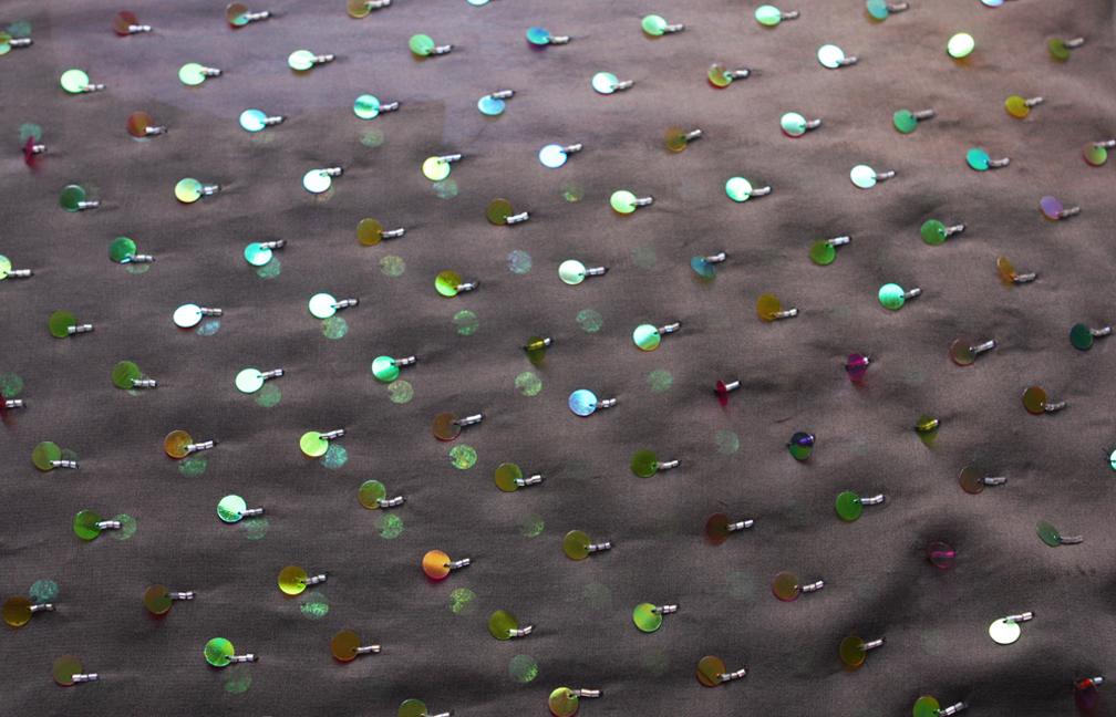 Paillettes on Silk Chiffon0