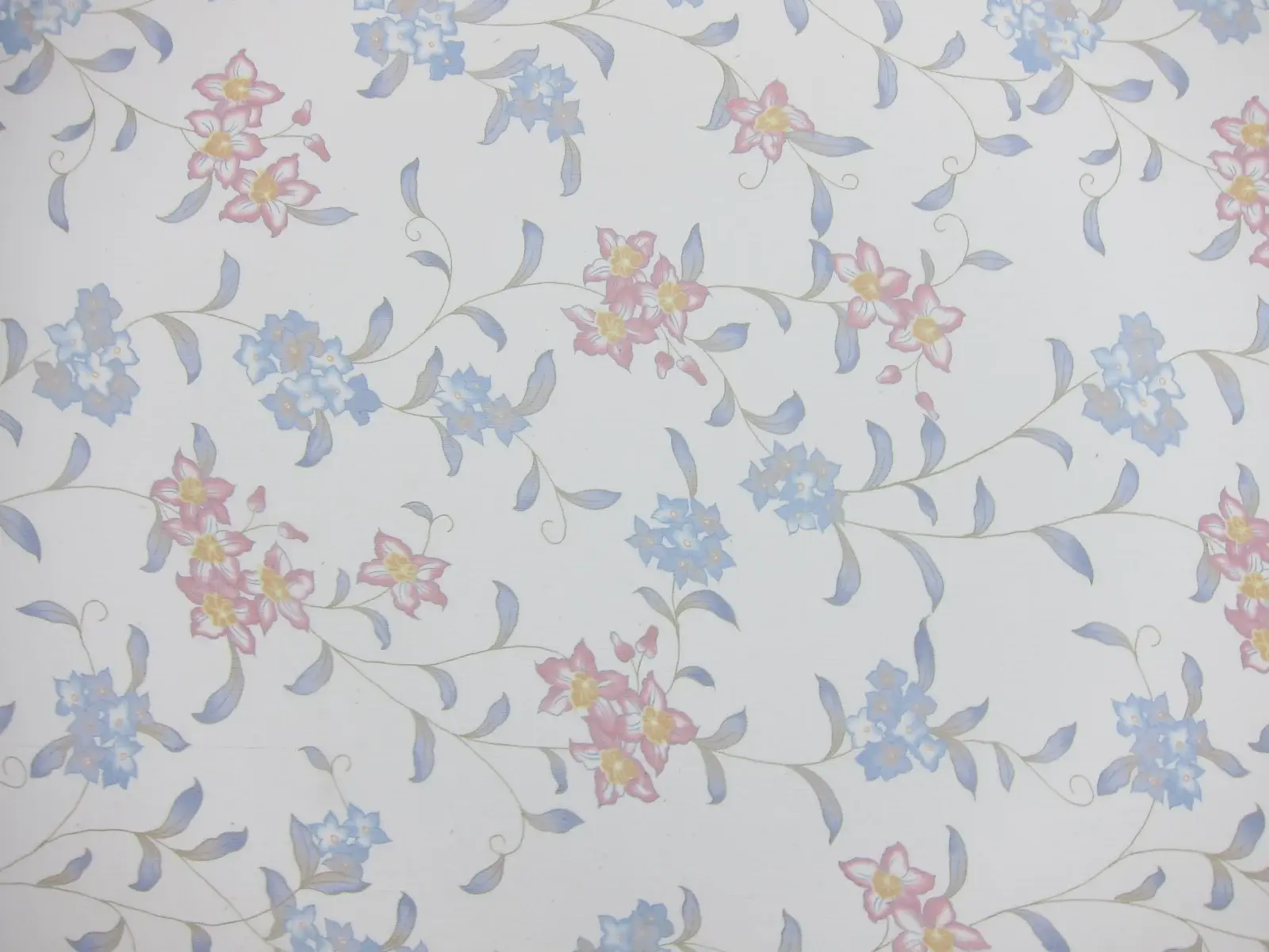 Printed Silk Crinkle Chiffon1