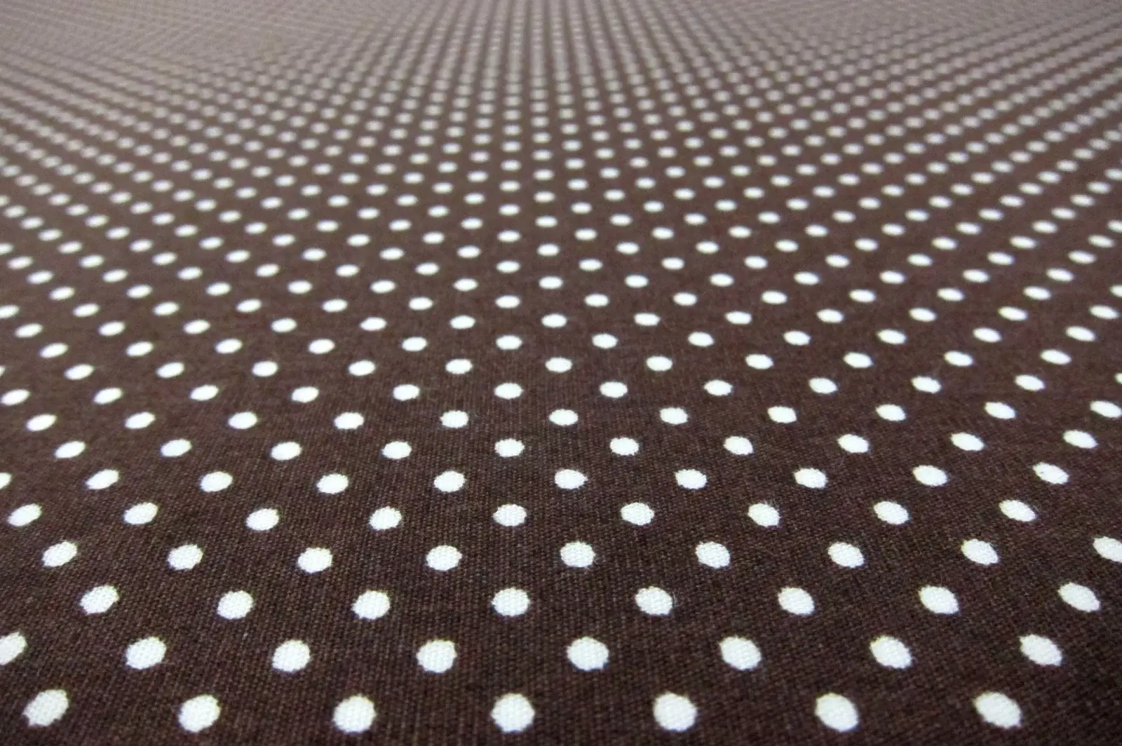 Cotton Broadcloth Print2