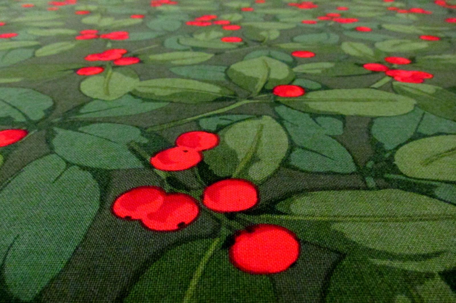 Cotton Broadcloth Print2