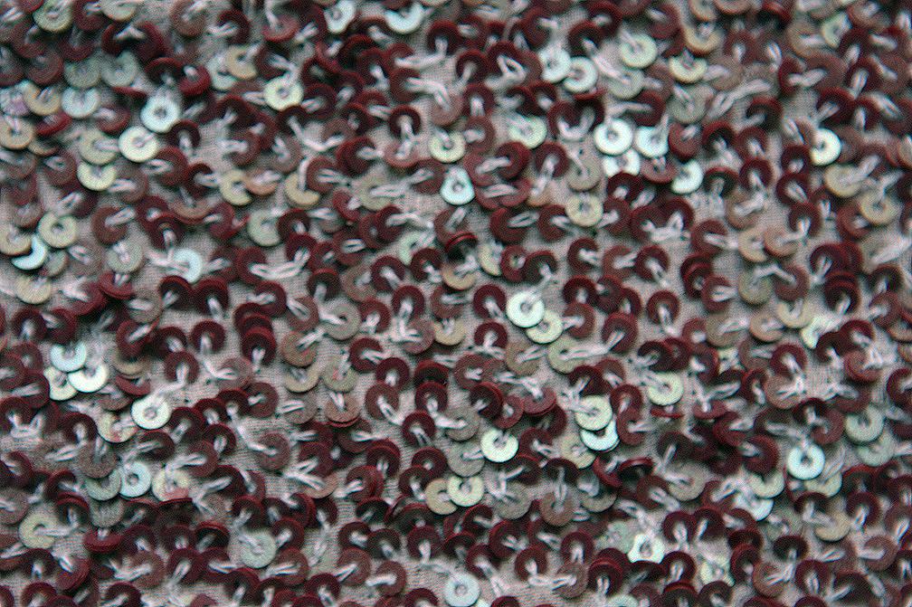 Sequins on Silk Chiffon2