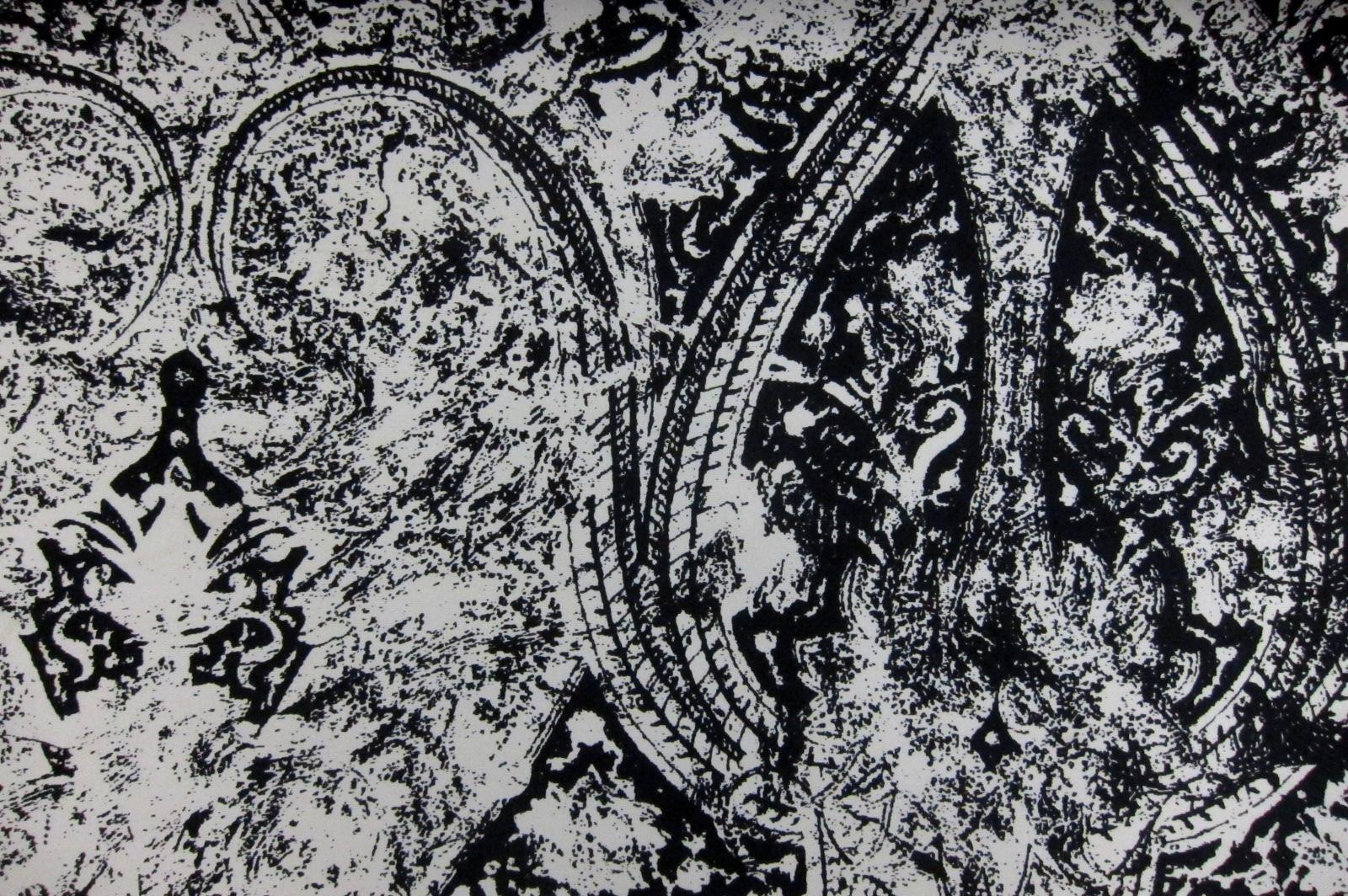 Printed Silk Mikado0