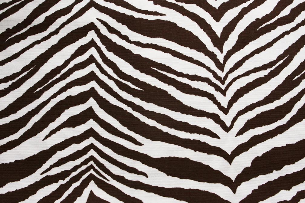 Printed Cotton Canvas0