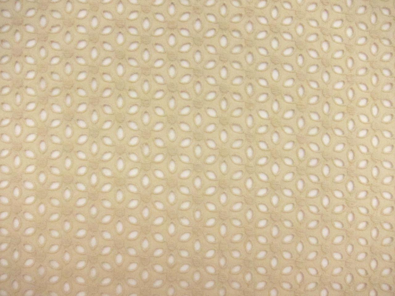 Cotton Eyelet in Beige0