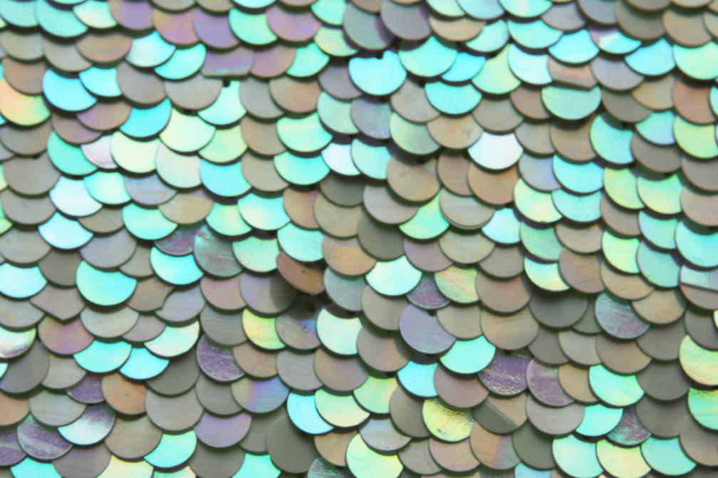 Paillettes on Silk Chiffon3