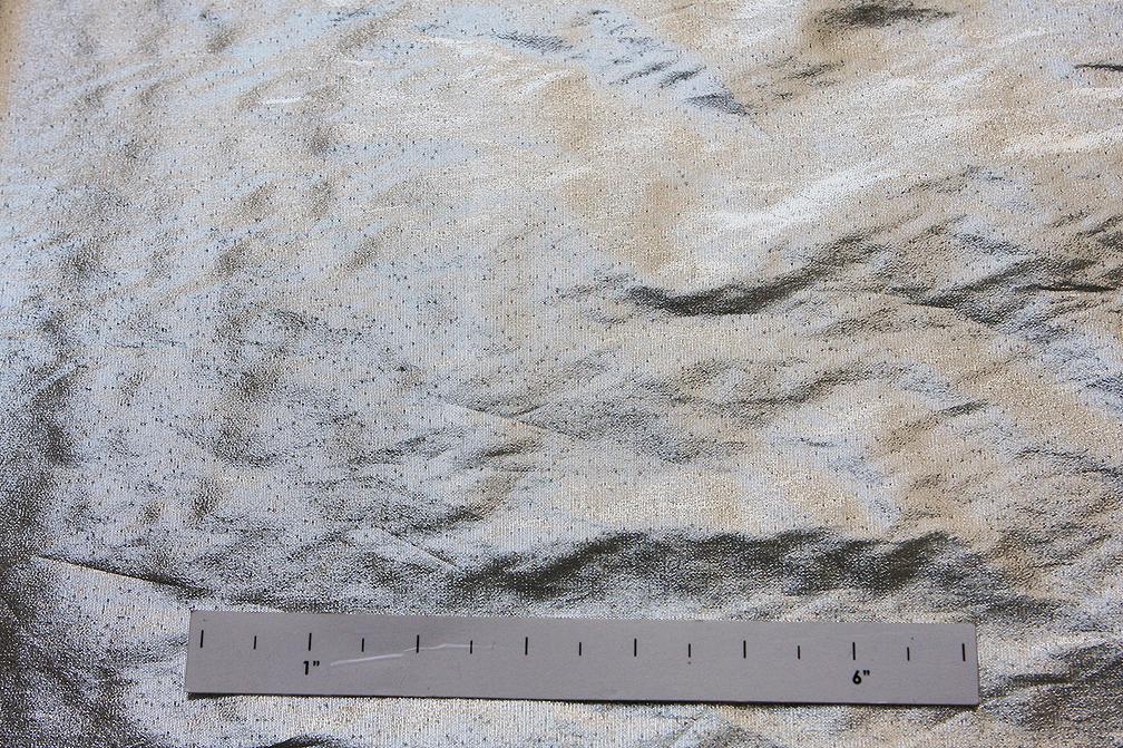 Tissue Lamé in Silver2