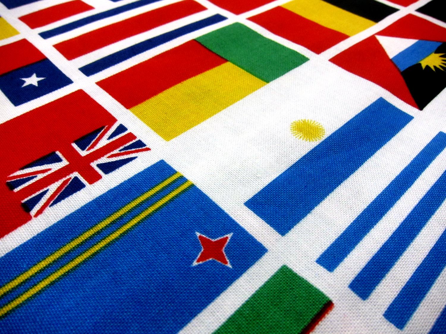 Cotton Broadcloth Print 2