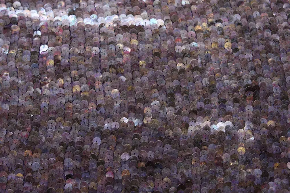 Sequins on Silk Chiffon0