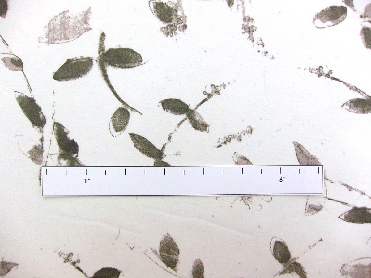 Printed Silk Chiffon2