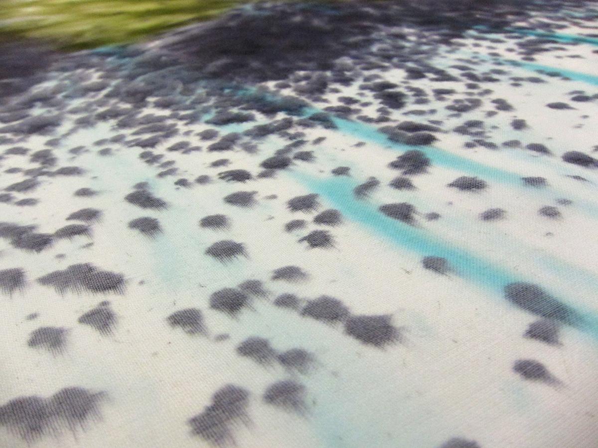 Printed Silk Chiffon1