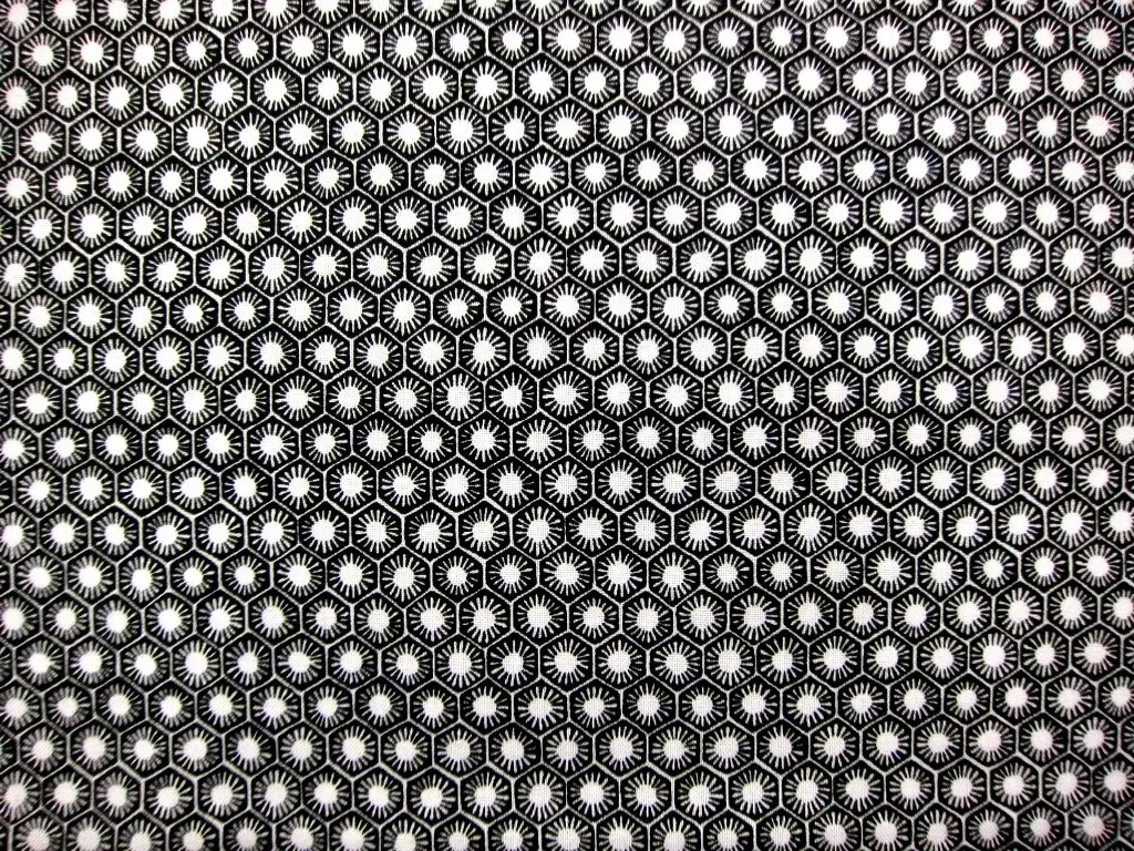 Cotton Broadcloth Print0