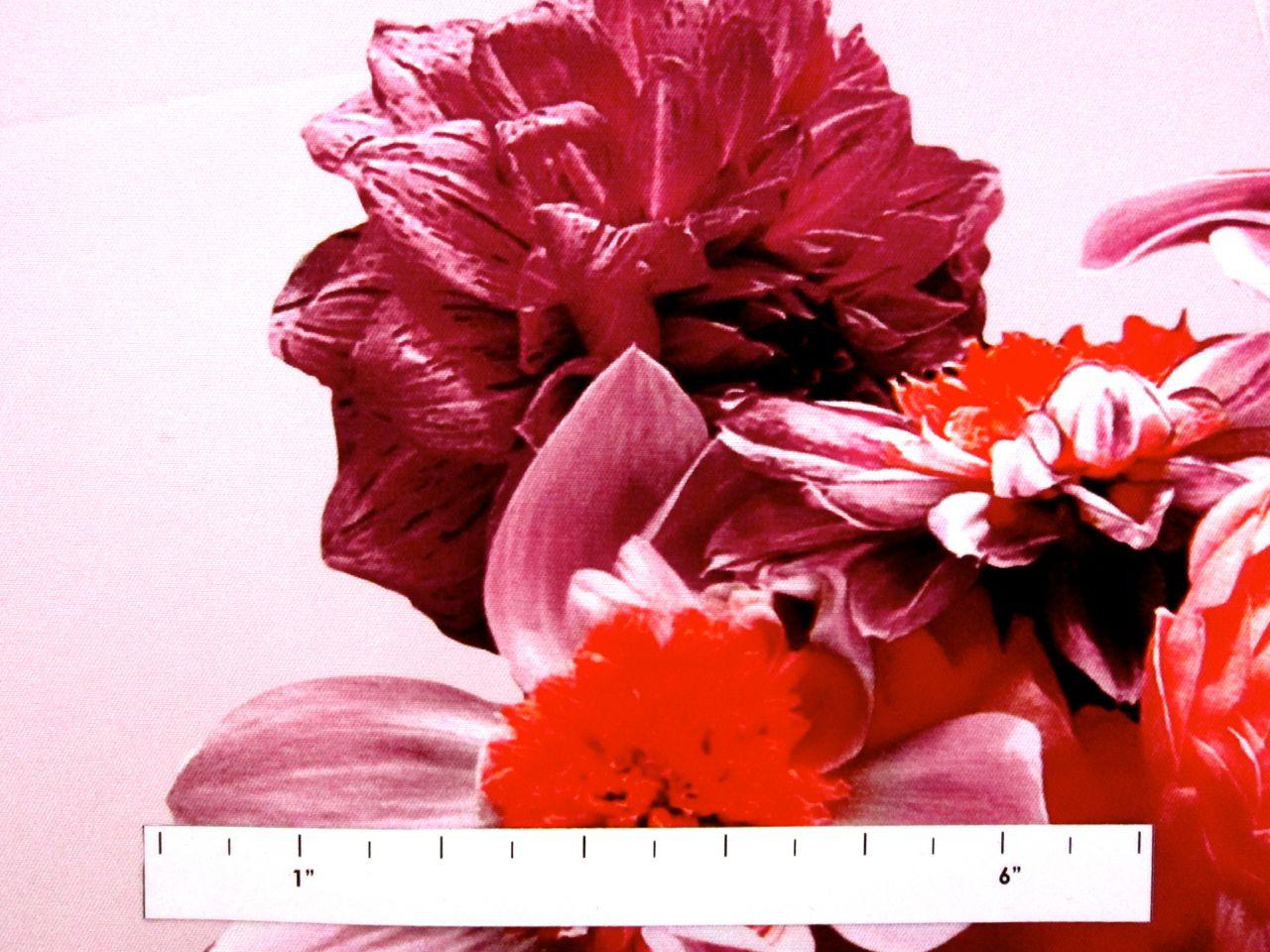 Printed Silk Mikado1