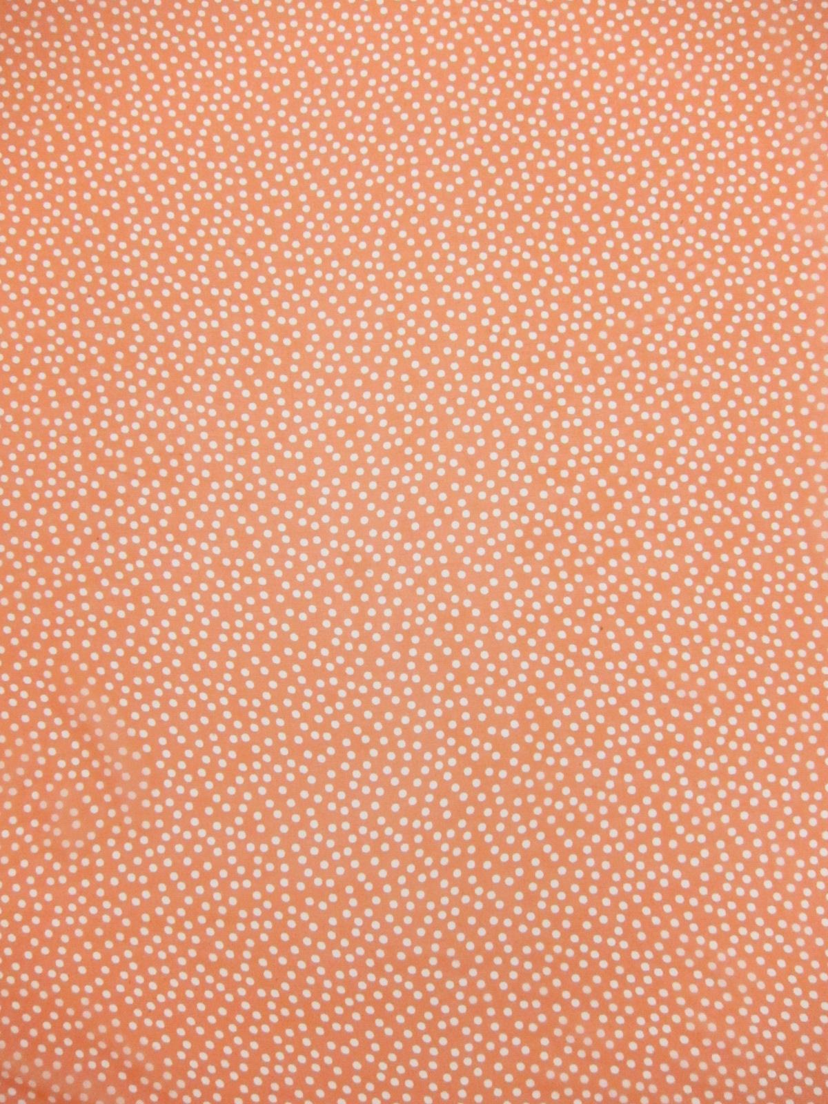 Printed Silk Chiffon